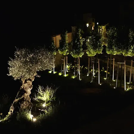 Garden *